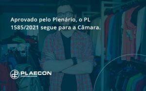 Aprovado Pleno Plenario O Pl 15852021 Segue Para A Camara Plaecon Contabilidade - O Contador Online