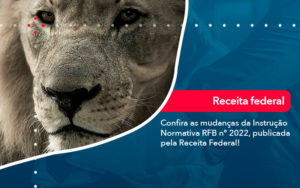 Confira As Mudancas Da Instrucao Normativa Rfb N 2022 Publicada Pela Receita Federal - O Contador Online