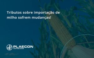 Tributos Sobre Importação De Milho Sofrem Mudanças! Plaecon Contabilidade - O Contador Online