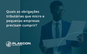 08 Plaecon Contabilidade - O Contador Online