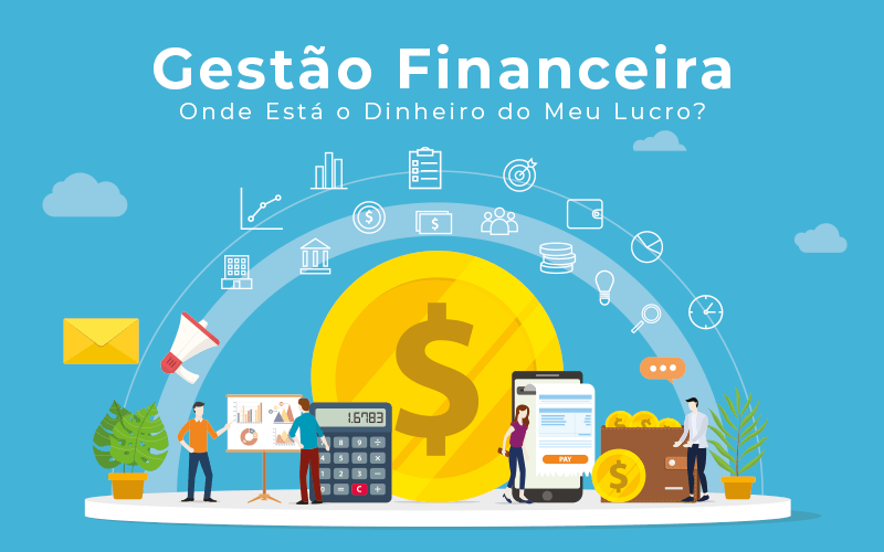 Gestao Financeira Onde Esta O Dinheiro Do Meu Lucro Blog Liz Assessoria Financeira - O Contador Online