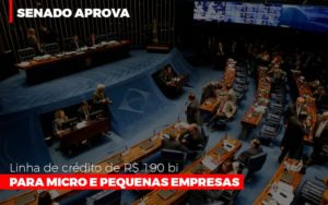 Senado Aprova Linha De Crédito De R$190 Bi Para Micro E Pequenas Empresas - O Contador Online