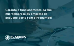 Pronampe Essa é A Chance De Fortalecer A Sua Microempresa Ou Empresa De Pequeno Porte Na Pandemia! Plaecon Contabilidade - O Contador Online