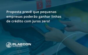 Proposta Prevê Que Pequenas Empresas Poderão Ganhar Linhas De Crédito Com Juros Zer Plaecon Contabilidade - O Contador Online