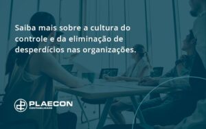 Saiba Mais Sobre A Cultura Do Controle E Da Eliminação De Desperdícios Nas Organizações. Plaecon Contabilidade - O Contador Online