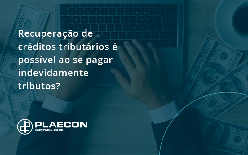 08 Plaecon Contabilidade - O Contador Online