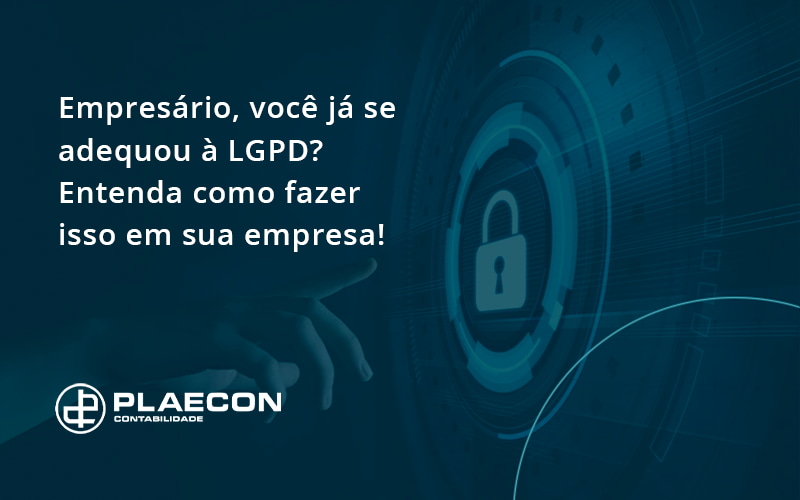 08 Plaecon Contabilidade - O Contador Online