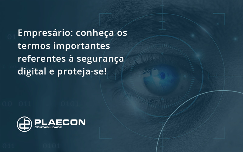 08 Plaecon Contabilidade - O Contador Online